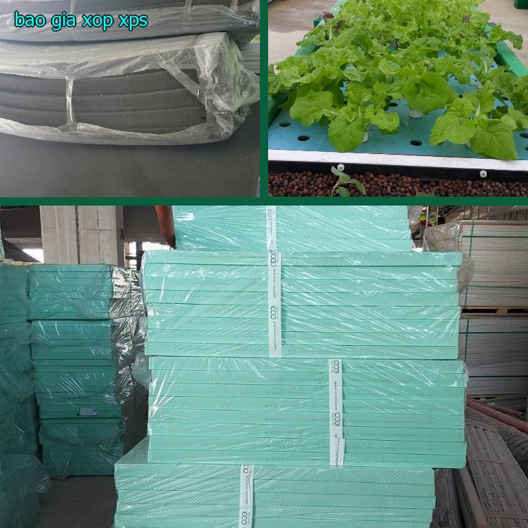 Báo giá xốp XPS Báo giá xốp XPS