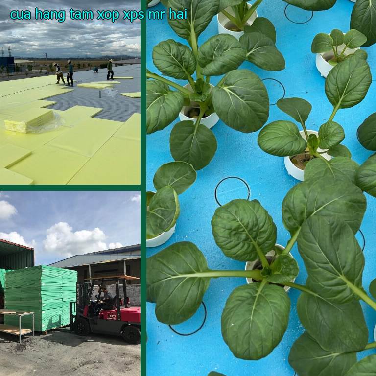 Cửa hàng tấm xốp XPS Mr Hải