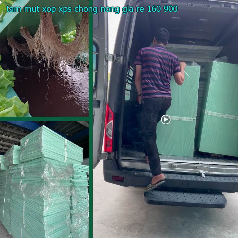 Tấm mút xốp XPS chống nóng giá rẻ 160.900₫