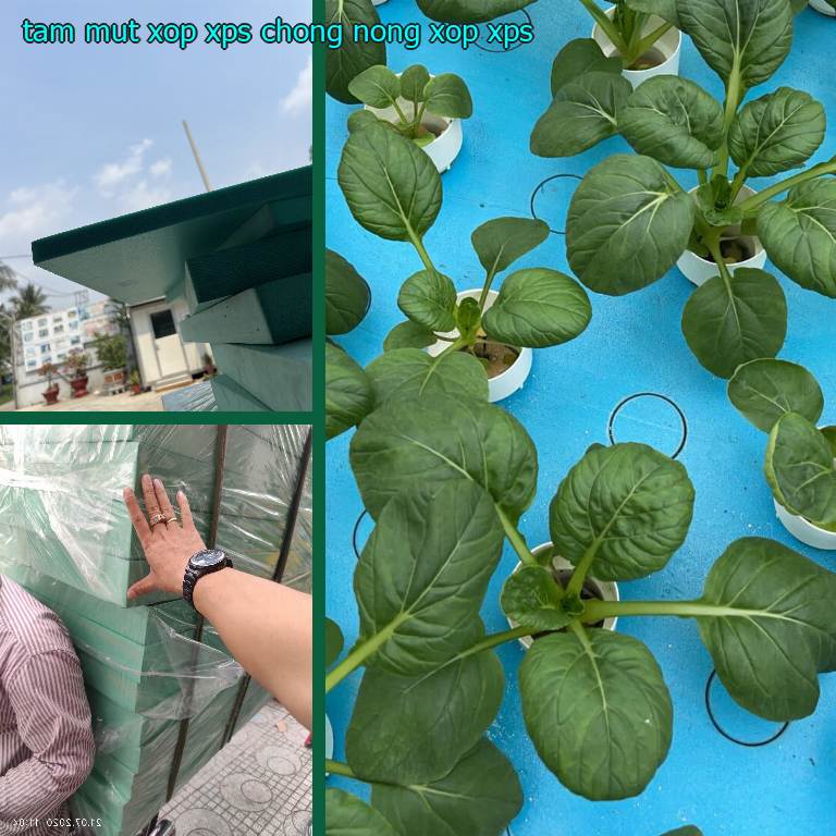 Tấm mút xốp XPS chống nóng Xốp XPS