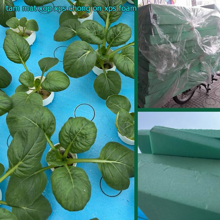 Tấm mút xốp XPS chống ồn XPS Foam