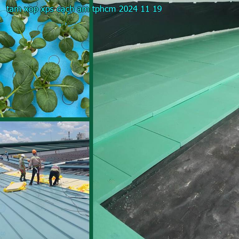 Tấm xốp XPS cách âm TpHCM 2024-11-19