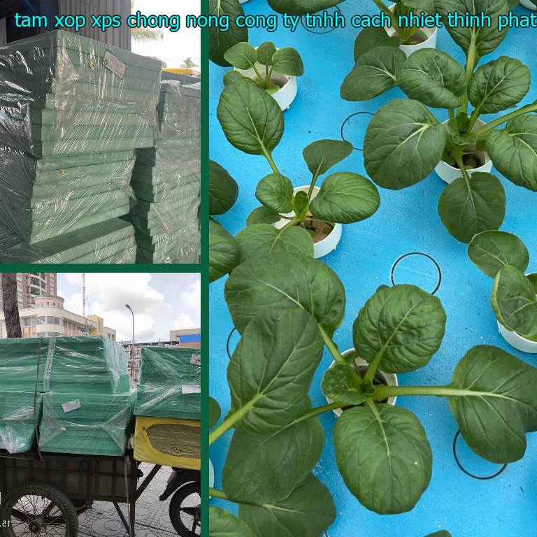 Tấm xốp XPS chống nóng Công ty TNHH cách nhiệt Thịnh Phát