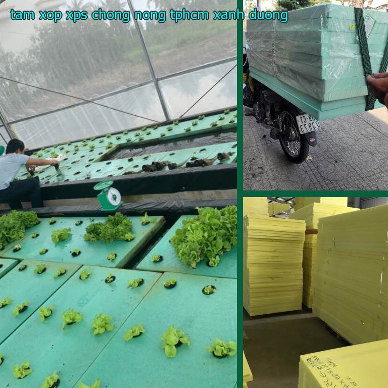 Tấm xốp XPS chống nóng TpHCM Xanh dương