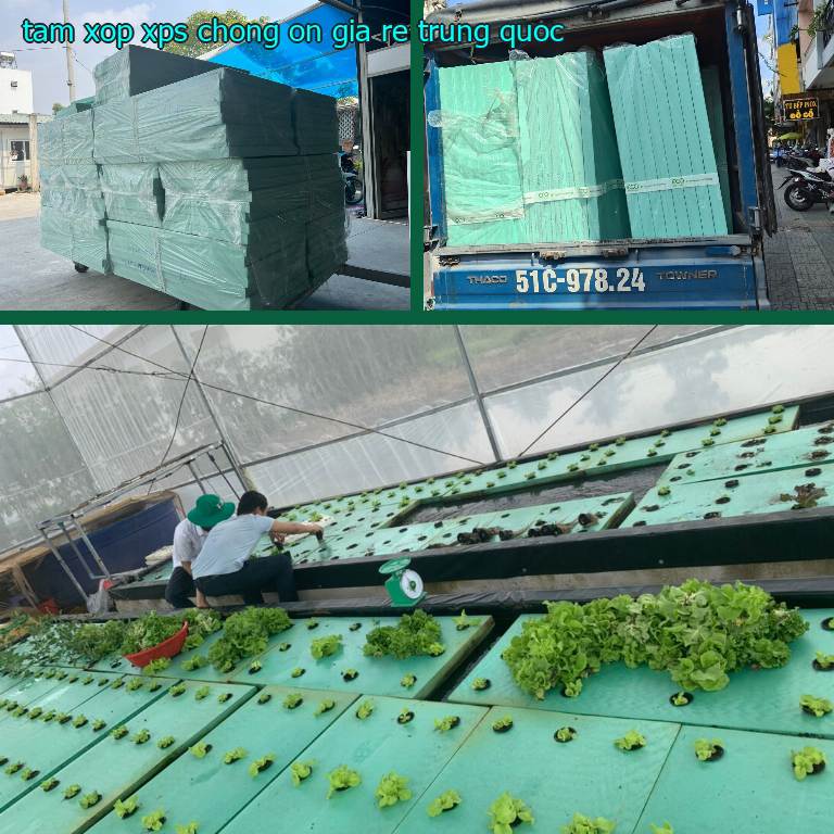 Tấm xốp XPS chống ồn giá rẻ Trung Quốc