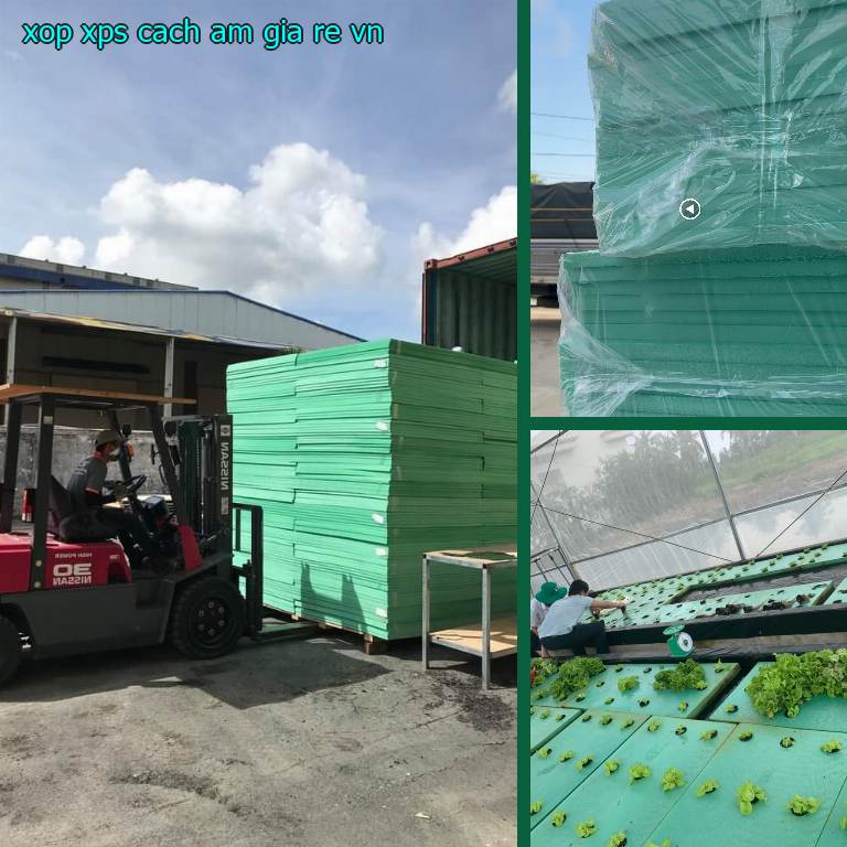 Xốp XPS cách âm giá rẻ VN