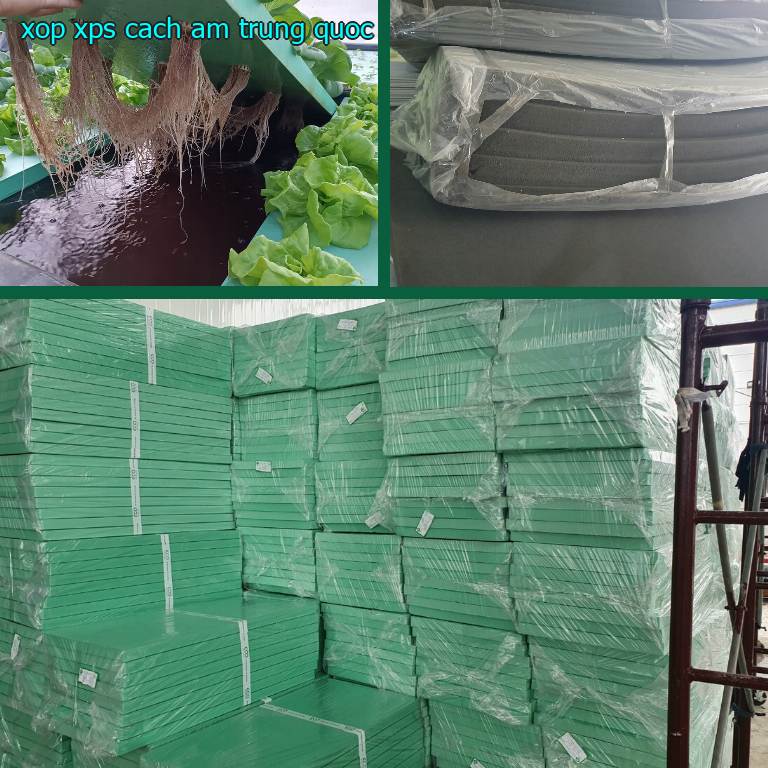 Xốp XPS cách âm Trung Quốc