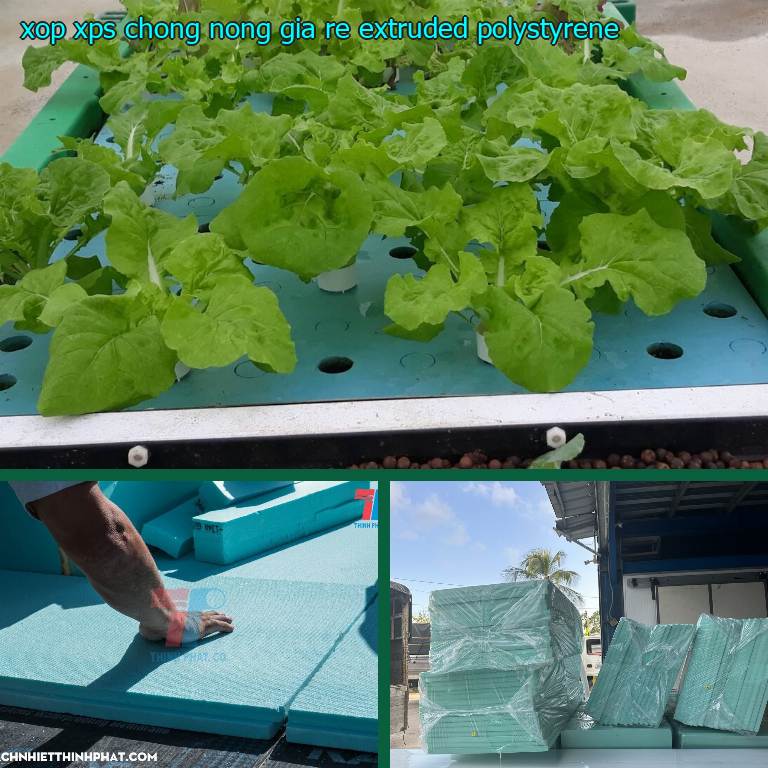 Xốp XPS chống nóng giá rẻ Extruded Polystyrene