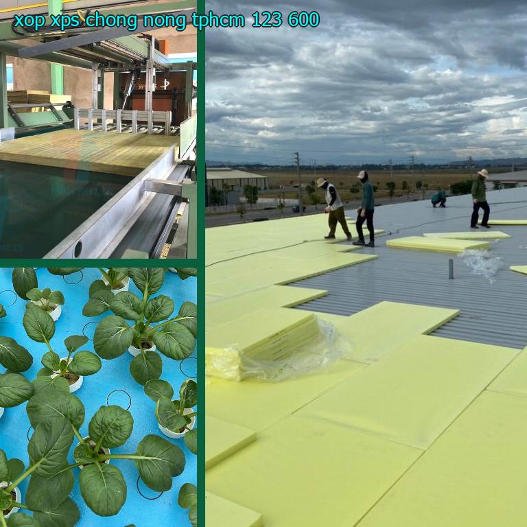Xốp XPS chống nóng TpHCM 123.600₫